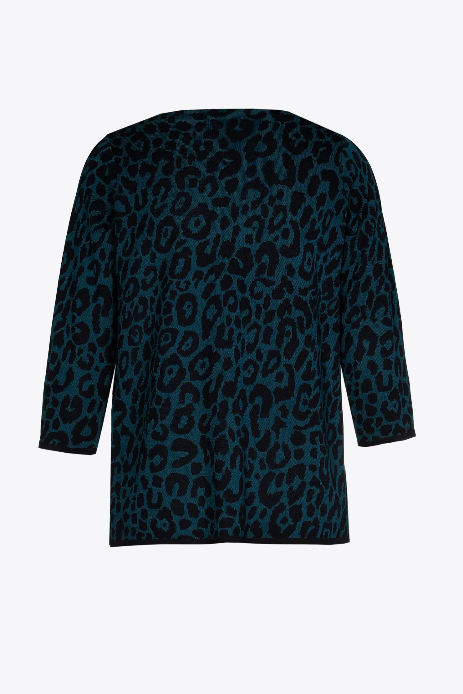 DAMES Xandres Pull met luipaardprint